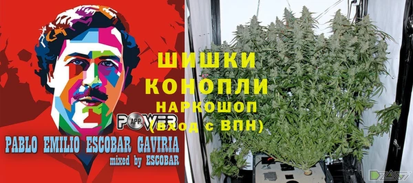 эйфоретик Санкт-Петербург