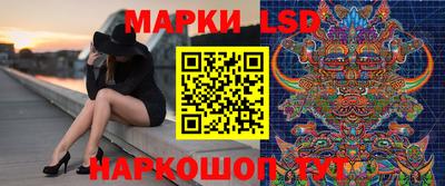 2c-b Кингисепп