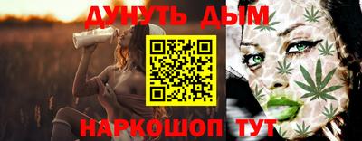 2c-b Кингисепп