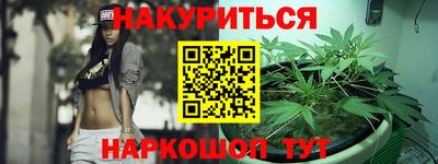 2c-b Кингисепп