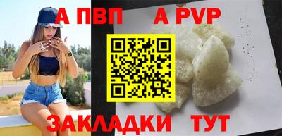 2c-b Кингисепп