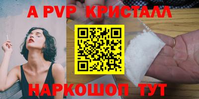 2c-b Кингисепп