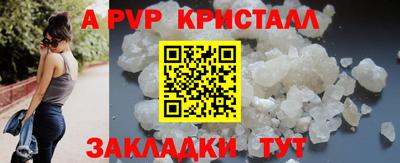 2c-b Кингисепп
