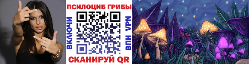 маркетплейс клад закладки Нефтеюганск Псилоцибиновые грибы Psilocybe