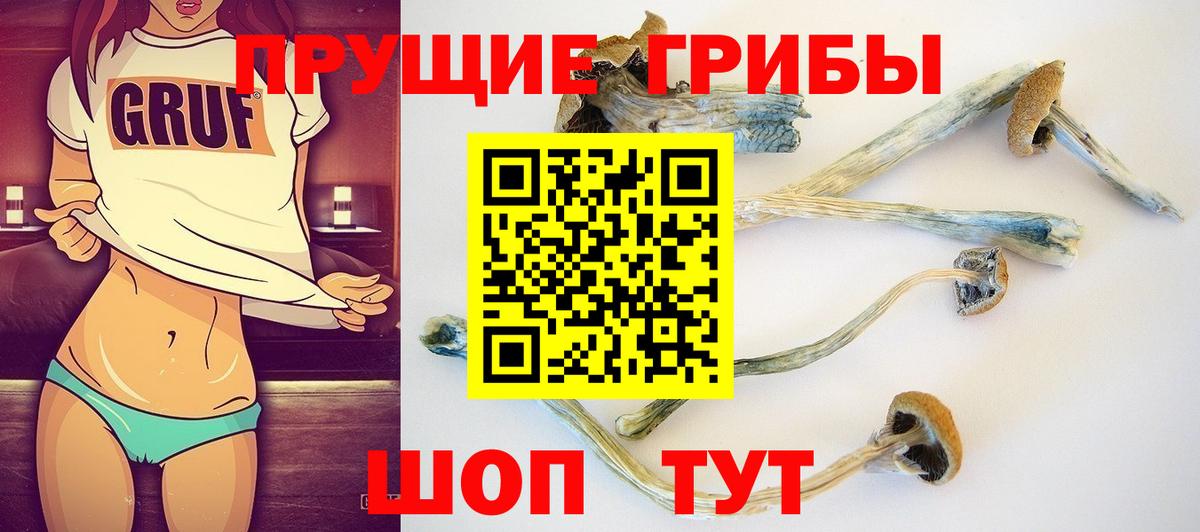 Псилоцибиновые грибы мицелий  Вход с VPN  Нефтеюганск 